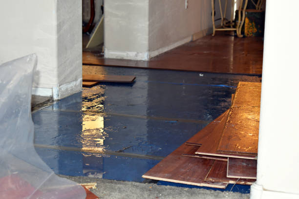 Professional Water Damage Restoration technician working in Bigelow, MN